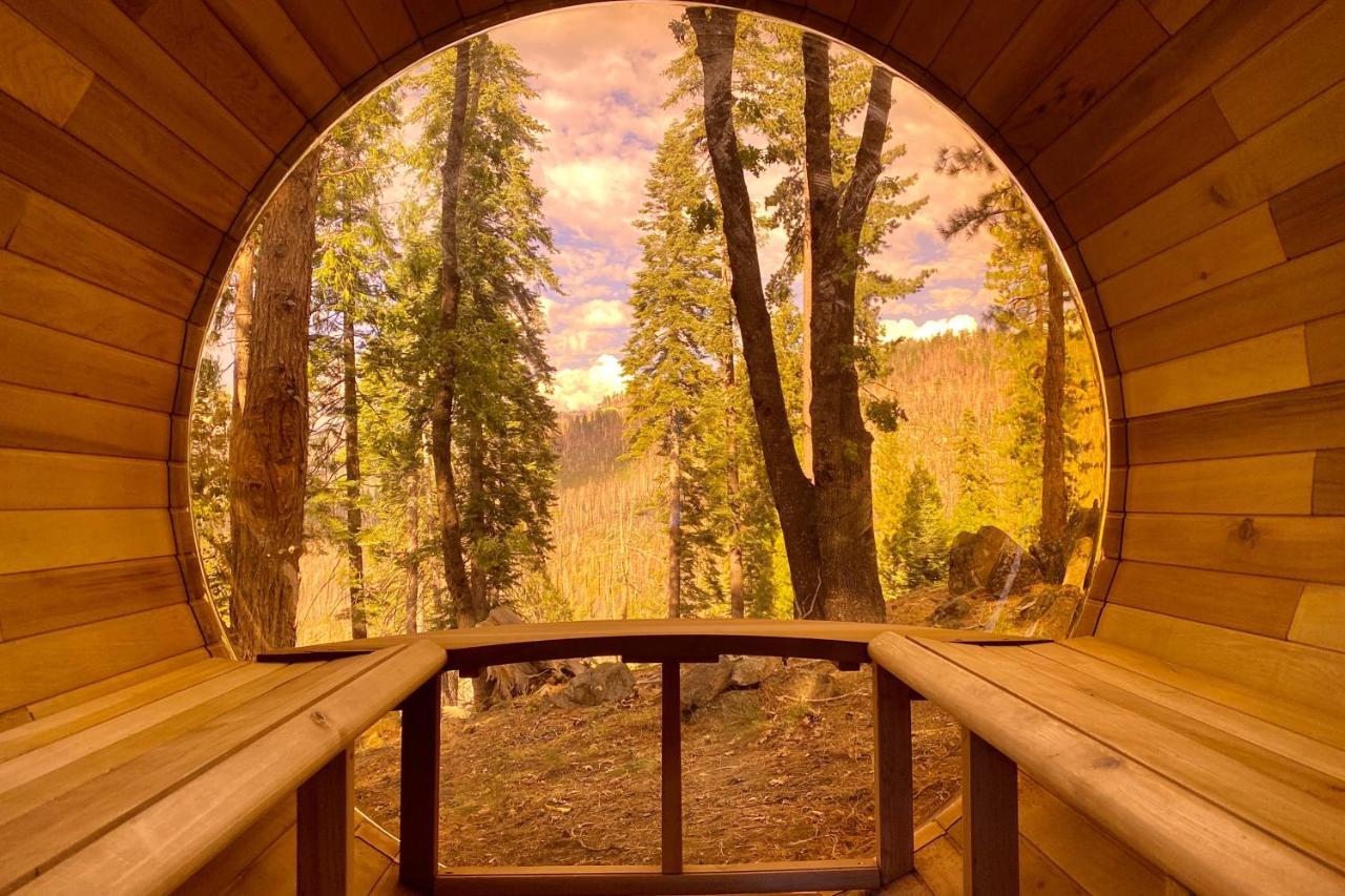 Yosemite West Family Chalet Zewnętrze zdjęcie